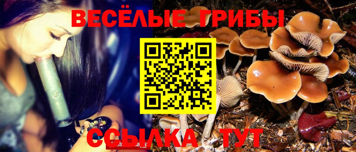 Псилоцибиновые грибы MAGIC MUSHROOMS Евпатория